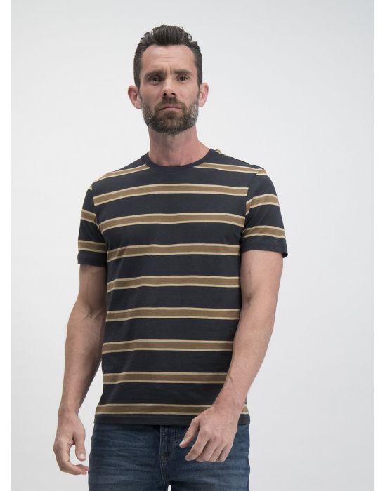 Black & Tan Stripe Regular Fit T-Shirt
