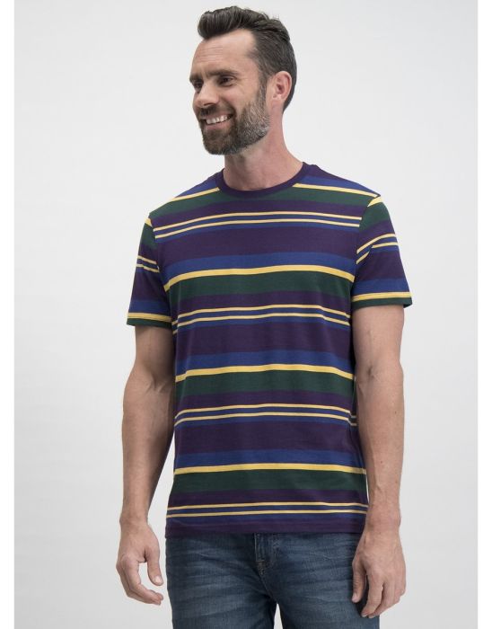 Purple Stripe Regular Fit T-Shirt